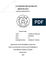 Lukluk Nur Hidayah - K4320047 - B - Laprak Sistem Urogenital