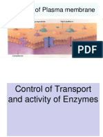 1.control of Transport-Mini Review