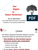 Çıkıklar Genel Bilgiler Ve Tedavi Yöntemleri