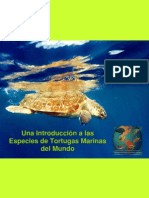 Especies Tortugas Marinas Mundo Es P