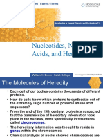 Nucleic Acids PPT (B)