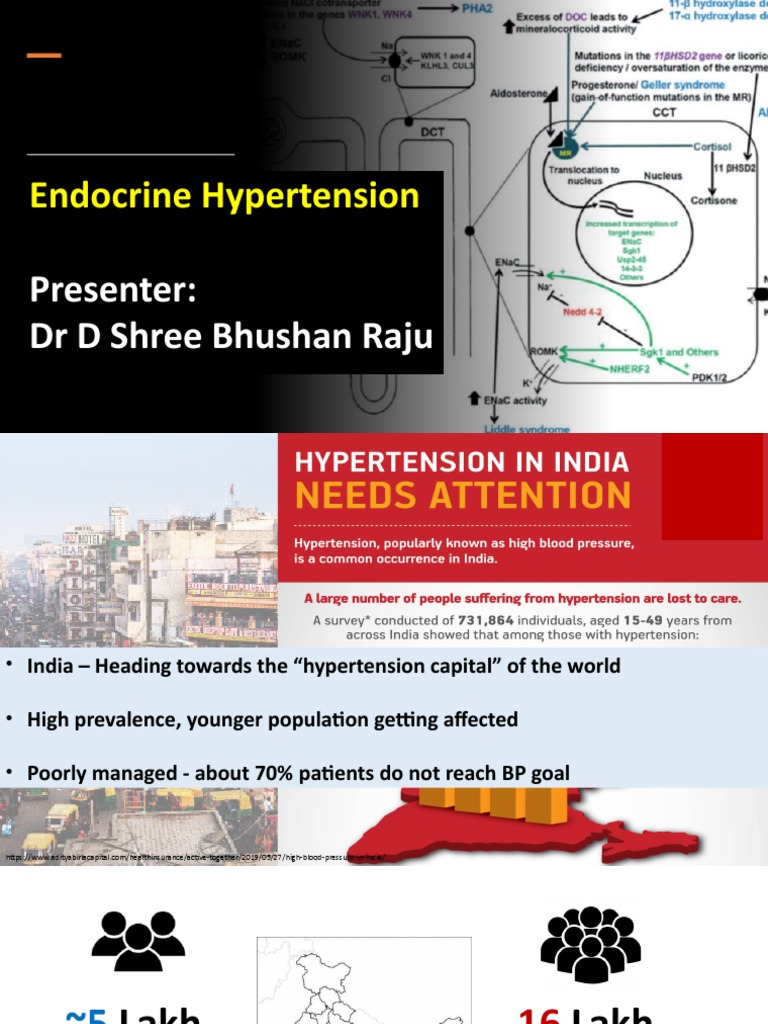 endocrine-hypertension-june-2022-pdf-hypertension-adrenal-gland