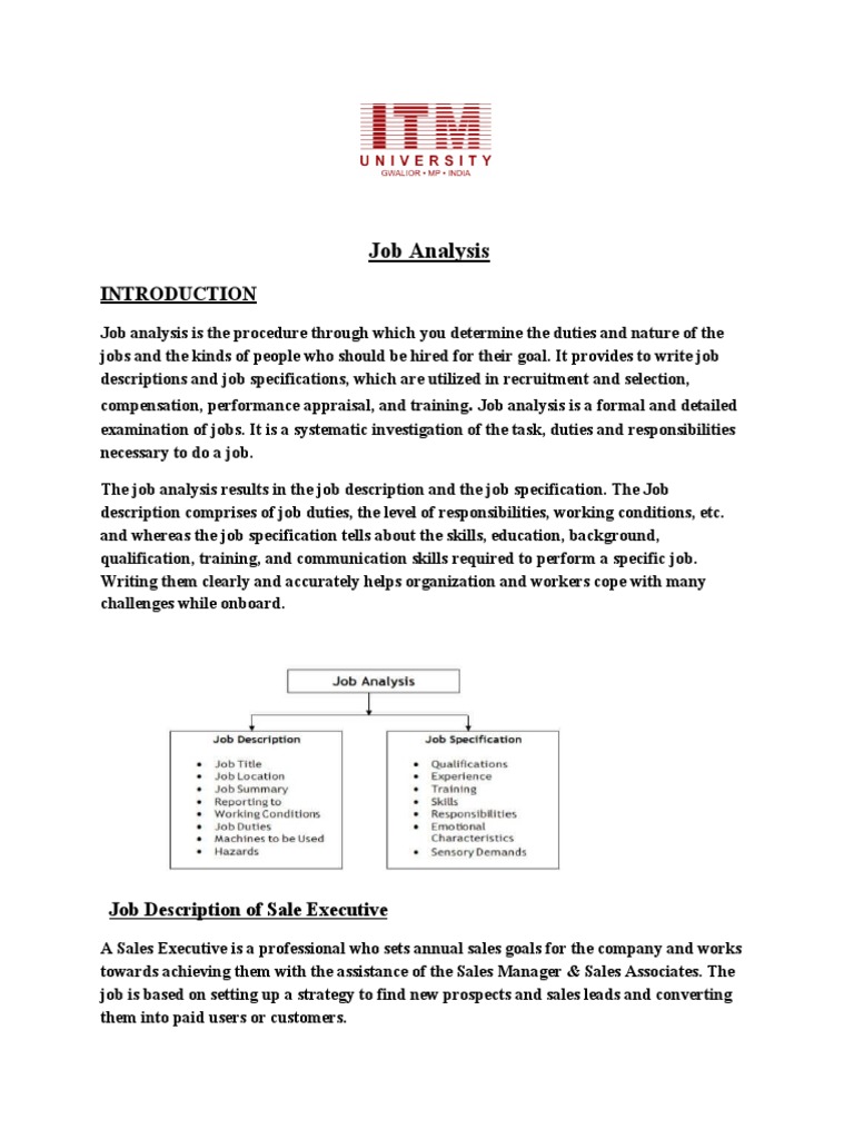 Job Analysis for Sales Executive Role | PDF | Sales | Marketing
