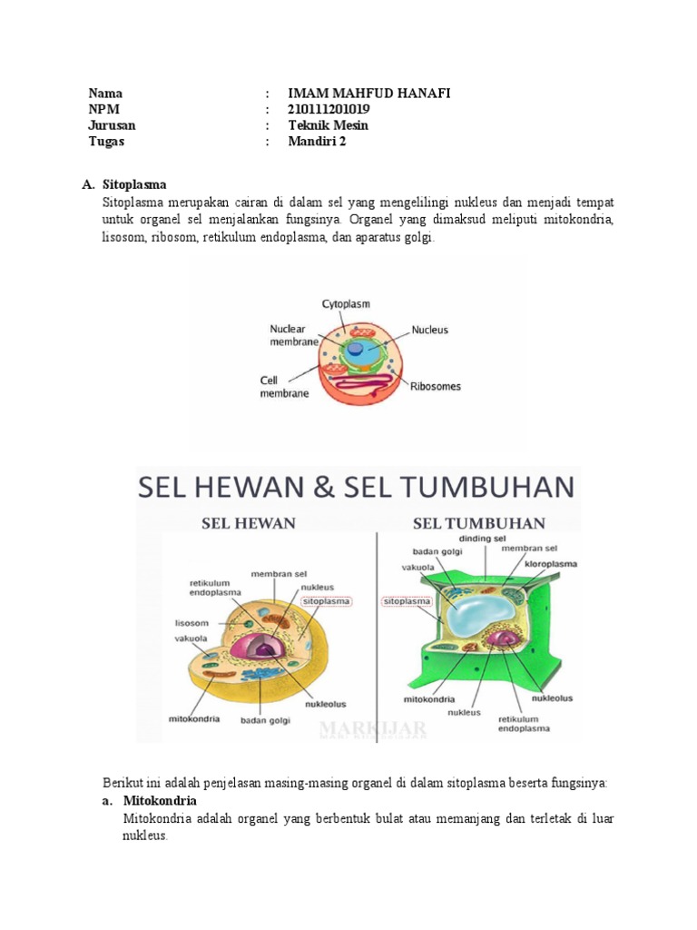 Ilmu Hayati | PDF