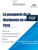 Pesca de anchoveta Perú