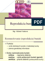 Reprodukcia Buniek