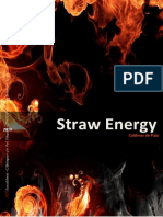 Paja y Caracteristicas Straw Energy Nº9.2
