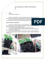 Cultivos y lombricompostaje en 20m2 (Informe técnico