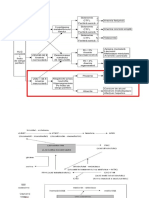 Aplazia Medulara2020