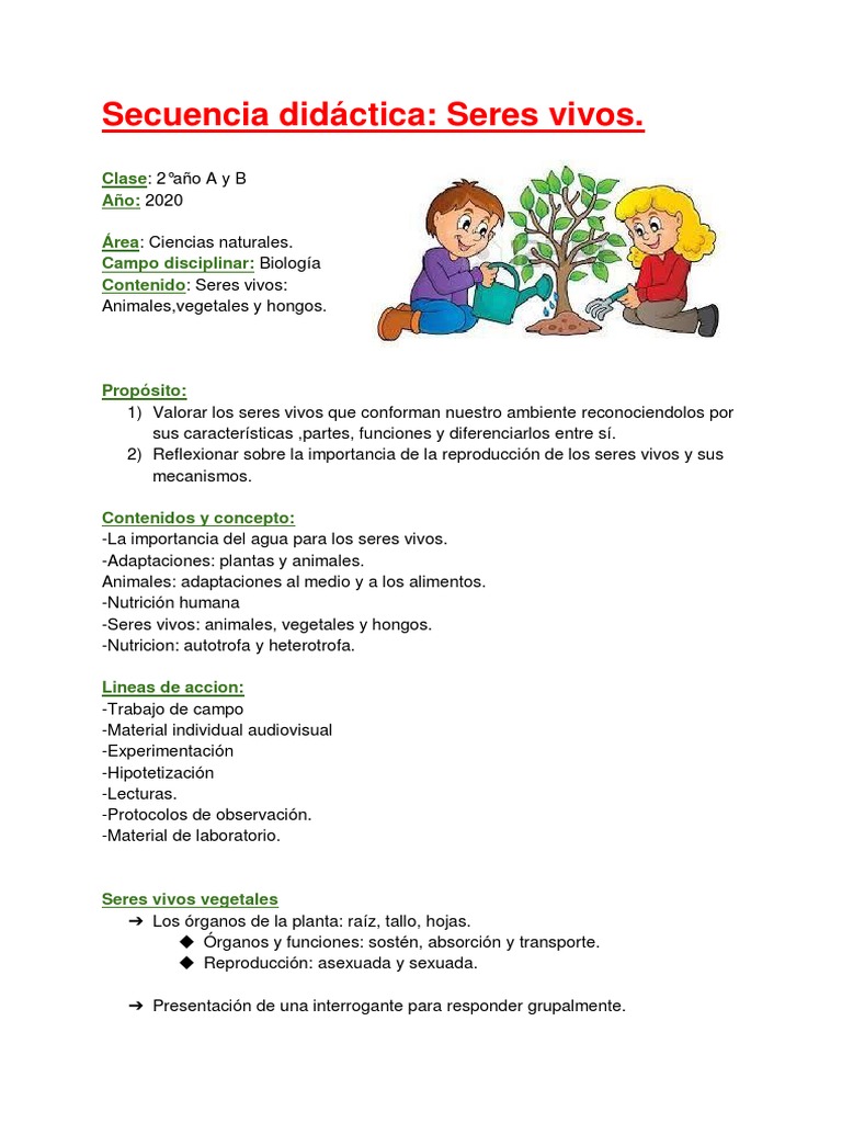 Seres Vivos | PDF | Plantas | Organismos