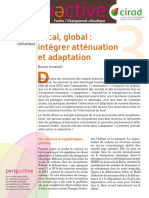 Intégrer Atténuation Et Adaptation, 2010