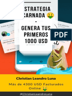 Estrategia Carnada - Christian Luna V1