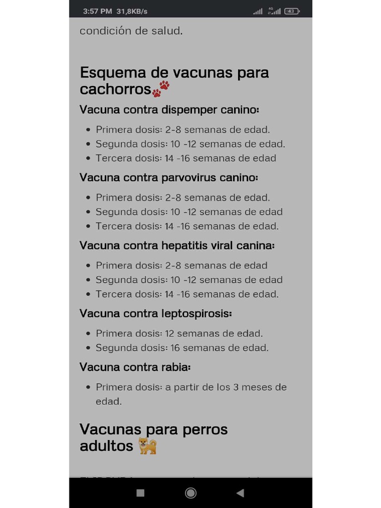 Screenshot com android chrome pdf