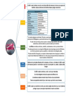 Descripción Del Delfín Rosado - Esquema 5