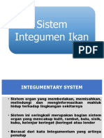Integumentary System - PDF