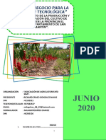 ADOPCION TECNOLOGICA AJIES_EL DORADO 14-06-2020