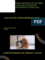 Comportamiento de Mascotas2