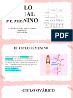 Ciclo Sexual Femenino