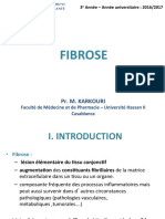 4 - Fibrose