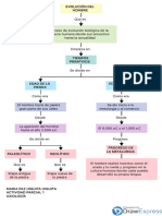 Actividad Parcial 1 - Axiologia - Mapa Conceptual Evolucion