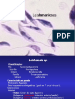 4Leishmanioses