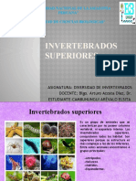 Invertebrados Superiores. 18