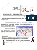 GUÍA No 13 LA EVOLUCIÓN HUMANA