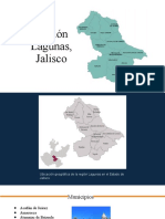 Region Lagunas