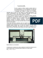 FLEXION DOCUMENTO