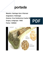 Cartilago y Hueso Histologia