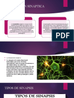 Transmisiones Sipnaticas