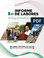 "Primer Informe" del Diputado Ricardo Astudillo
