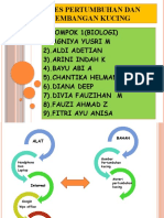 Proses Pertumbuhan Dan Perkembangan Kucing