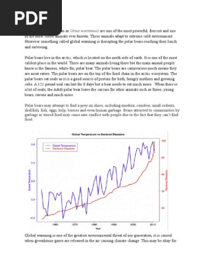 Polar bears Report 
