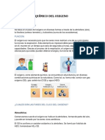 Ciclo Biogeoquímico Del Oxigeno