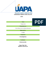 Trabajo Final de Psicolinguistica