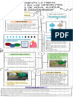 Infografia Del Experimento