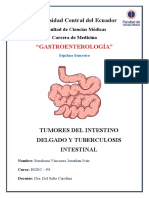 3.2.5. Tumores Del Intestino y Tuberculosis Intestinal - Barahona