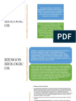 Riesgos Biologicos