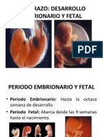 Desarrollo Embrionario y Fetal