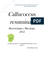 Calfucoccus Resuminae Bacteriología y Micología