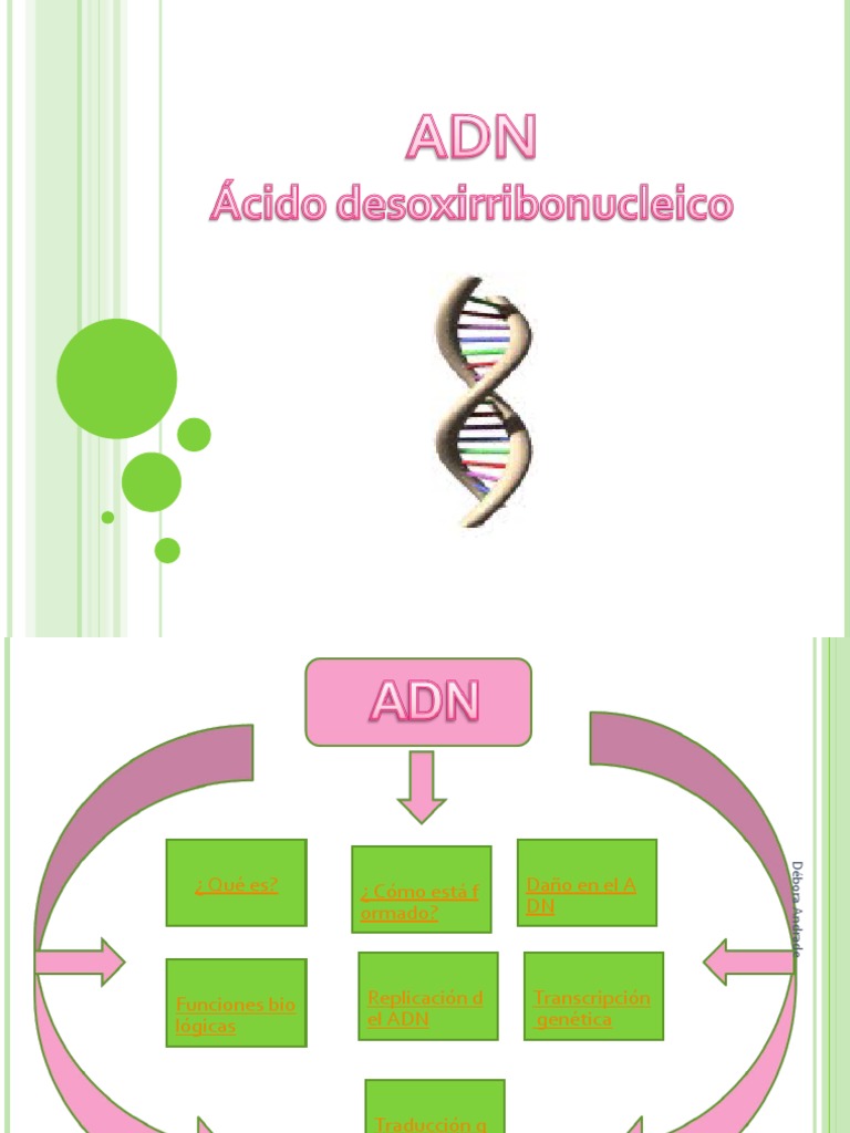 ADN | PDF | Adn | Gene