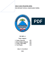 LAPORAN UJIAN PRAKTIK KIMIA Final