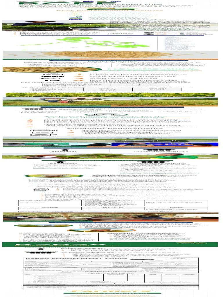 RCEF | PDF