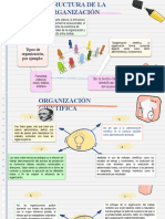 Estructura de La Organizacion - Deysi