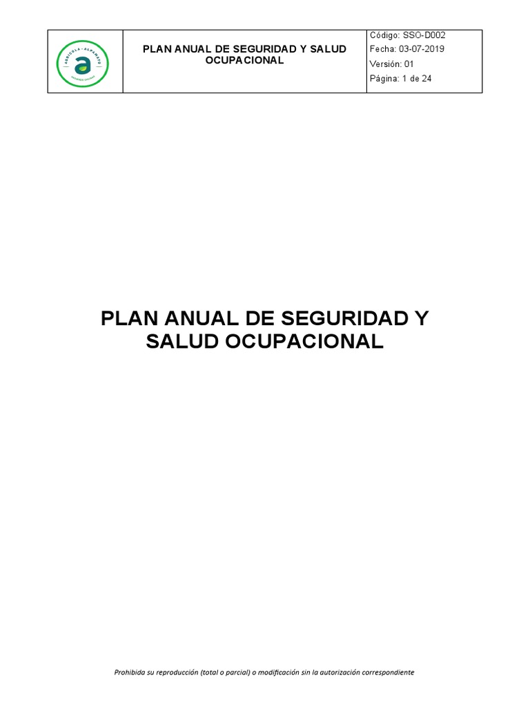 Plan Anual de Seguridad y Salud Ocupacional | PDF | Seguridad y salud ...