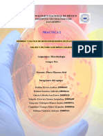 Práctica 2 Microbiología-1