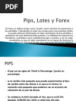 pips-lotes-y-forex-_-guc3ada-bc3a1sica