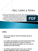 Pips Lotes y Forex - Guc3ada Bc3a1sica