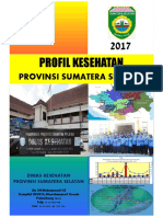 41756680-Profil Kesehatan 2017 Data 2016